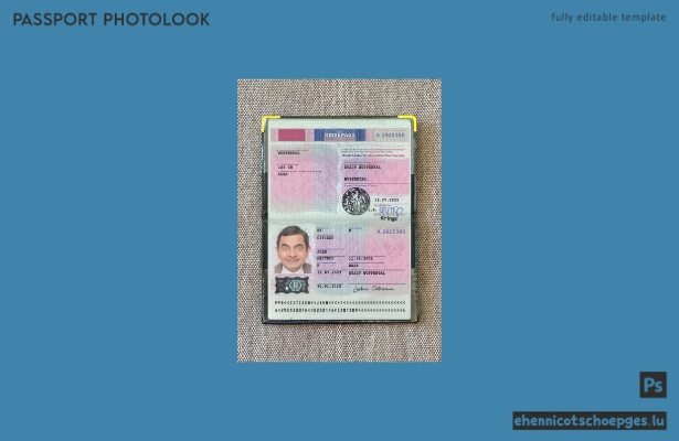 Deutscher Reisepass 2022-heute: Beispielansicht des Passfotos